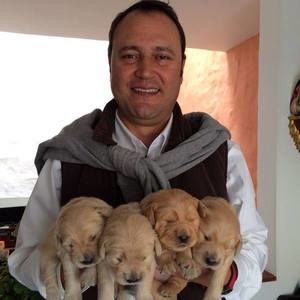 Meet your Posher, Herbert orlando